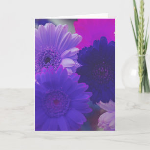 Lila Daisy Flowers Photo Note eller Greeting Cards Kort