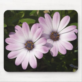 Lila Daisy Musmatta