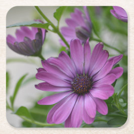 Lila Daisy Party Underlägg Papper Kvadrat