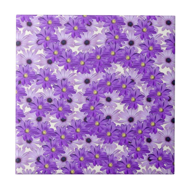 Lila Daisy Swirls Kakelplatta (Framsidan)