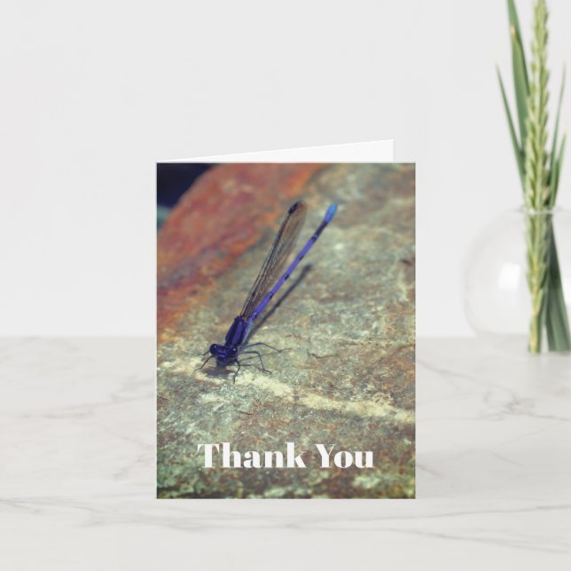 Lila Damselfly Natur - tackkort (Framsida)