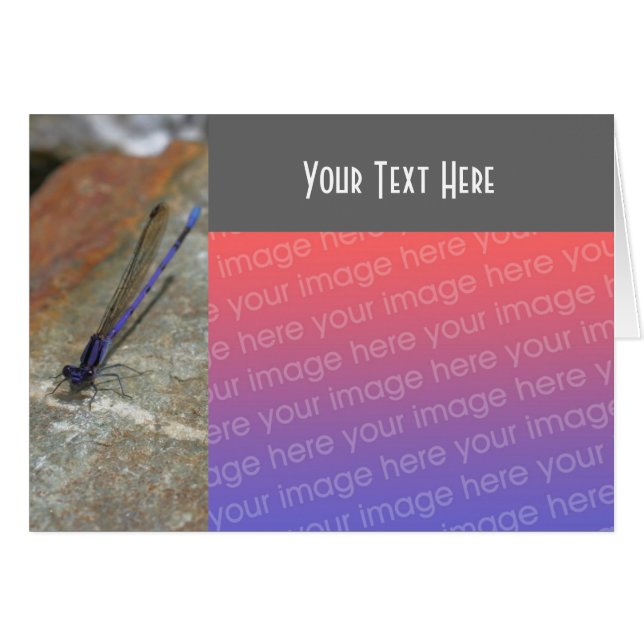 Lila Damselfly Nature-fotokort Hälsningskort (Framsidan Horizontal)