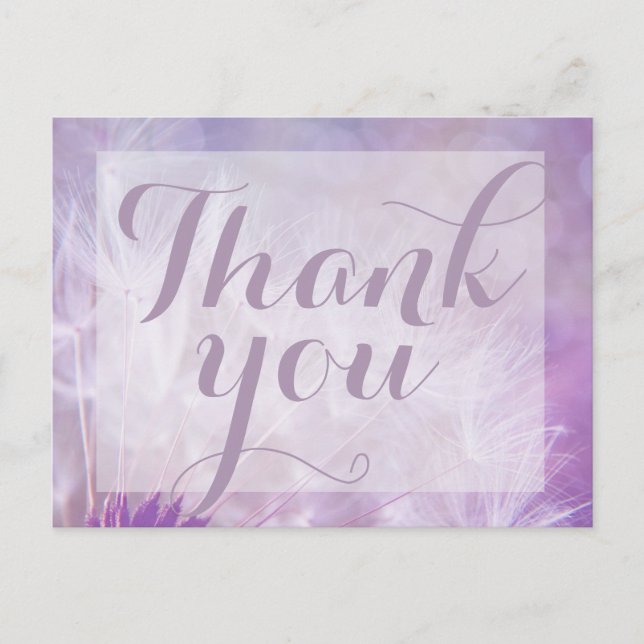 Lila Dandelion Tack för ditt postkort Vykort (Framsida)