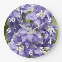 Lila Delphinium-blommor Blommande