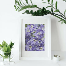 Lila Delphinium-blommor Blommig