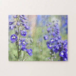 Lila Delphinium Flower Nature Photography Garden Pussel