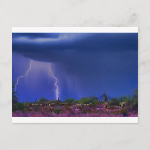 Lila Desert Storm Vykort