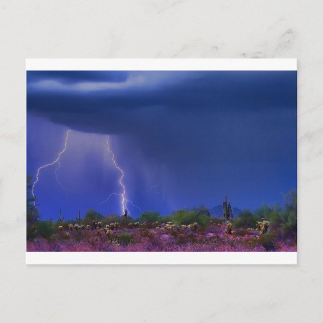 Lila Desert Storm Vykort (Framsida)