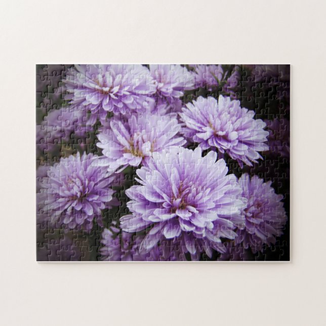 Lila Dimma Chrysanthemums Pussel (Horisontell)