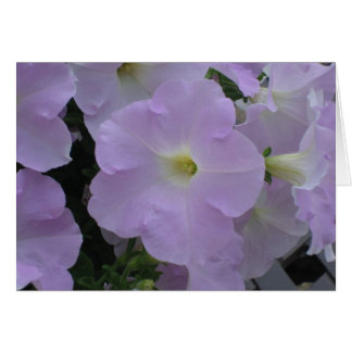 Lila Dimma Hälsningskort