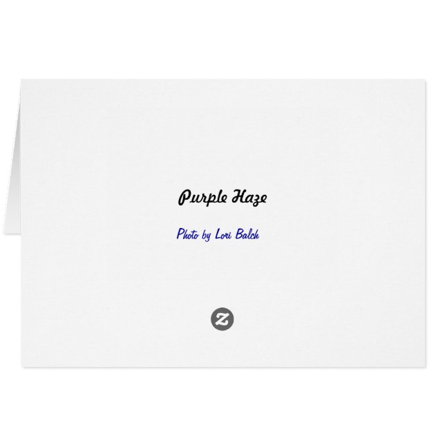 Lila Dimma OBS Kort (Baksidan Horizontal)