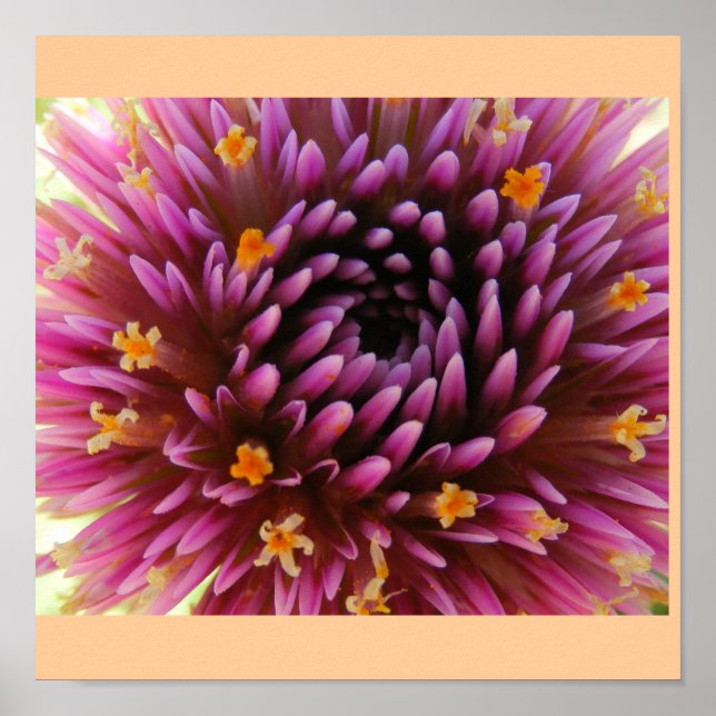 Lila dimma poster (Framsidan)