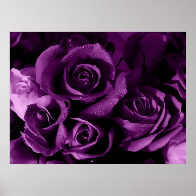 Lila Dimma Poster (Framsidan)