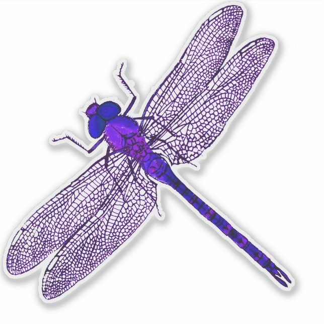 Lila Dragonfly-kontur Klistermärken (Framsida)