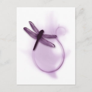 Lila Dragonfly Vykort