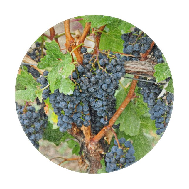 Lila druvor (Framsidan)