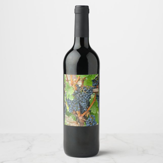 Lila druvor vinflaska etikett (Framsida)