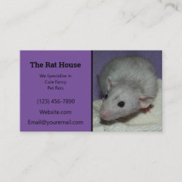 Lila Dumbo Råtta Breeder Rattery Visitkort