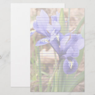 Lila Dwarf Iris Blommigt Led Papper Stationery
