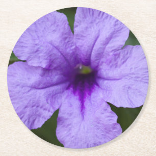 Lila Dwarf Mexican Petunia Underlägg Papper Rund