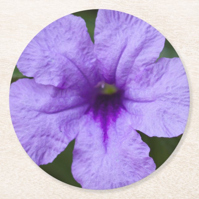 Lila Dwarf Mexican Petunia Underlägg Papper Rund (Framsidan)