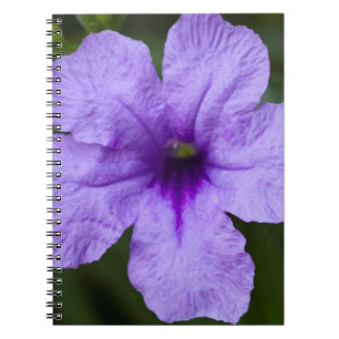 Lila Dwarf Mexikanska Petunia Anteckningsbok
