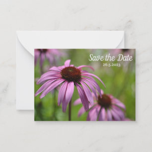 Lila Echinacea Cone Flowers Spara datum Anteckningskort