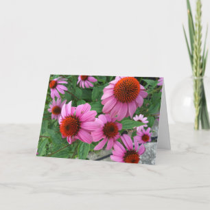 Lila Echinacea Ecclesiastes Bible Verse Birthday Kort