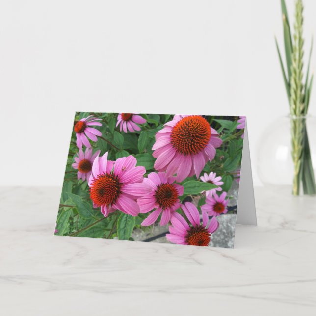 Lila Echinacea Ecclesiastes Bible Verse Birthday Kort (Framsida)
