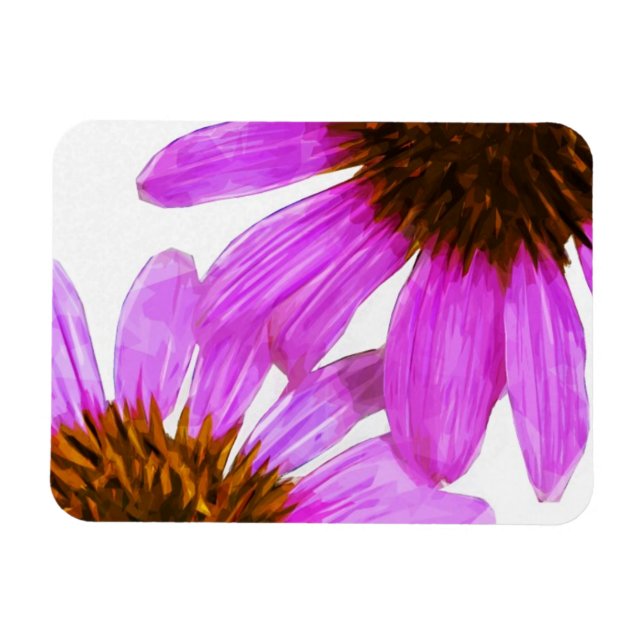 Lila Echinacea Flower Abstrakt Magnet (Horisontell)