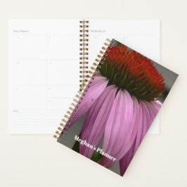 Lila Echinacea Planerare - Original Fotografi