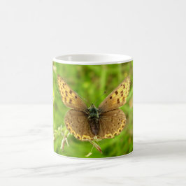 Lila Edpper Butterfly Kryp Mugg
