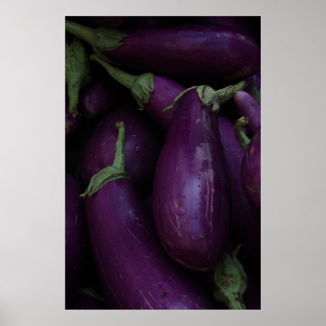 lila eggplant poster (Framsidan)