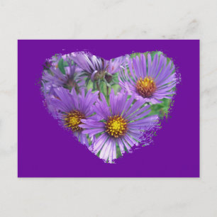 Lila Fall Asters Wildblommatchande artiklar Vykort