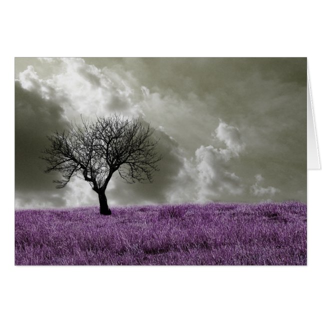 Lila Fält Hälsningskort (Framsidan Horizontal)