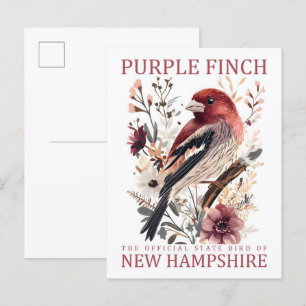 Lila Finch Bird of New Hampshire USA Travel Vykort