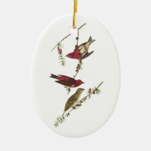 Lila Finch från Audubon Julgransprydnad Keramik
