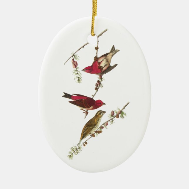 Lila Finch från Audubon Julgransprydnad Keramik (Framsidan)