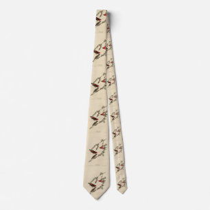 Lila Finch - John J. Audubon's Birds of America Slips