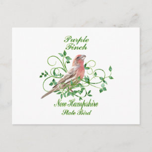 Lila Finch New Hampshire State Bird Vykort