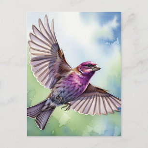 Lila Finch under flygning Vykort
