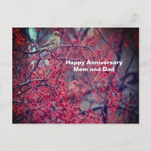 Lila Finches Vykort (Framsida)