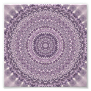 Lila Fjäther mandala Fototryck