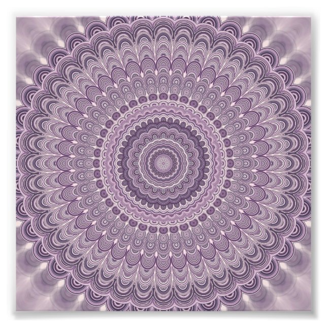 Lila Fjäther mandala Fototryck (Framsidan)