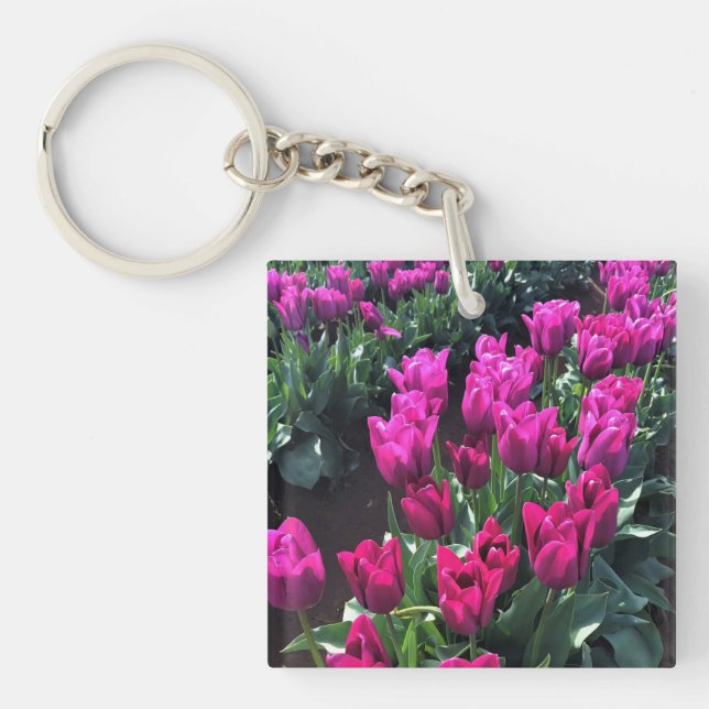 Lila Flagga Tulips, Oregon (Framsidan)