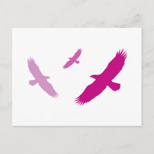 Lila Flies Eagles Vykort