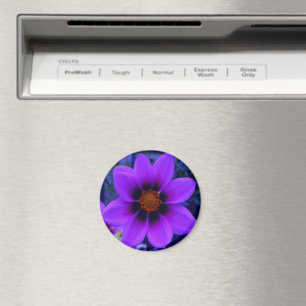 Lila Flower at Dusk Magnet