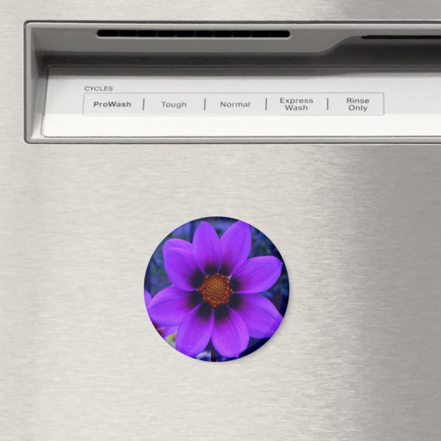 Lila Flower at Dusk Magnet (In Situ (Dishwasher))
