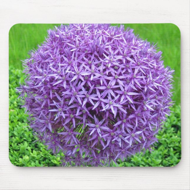Lila Flower Boll Musmatta (Framsidan)