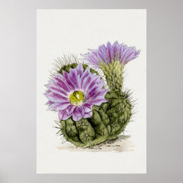 Lila Flower Cactus Sketch Art Poster
